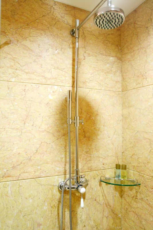Luxury Shower with Multiple Features